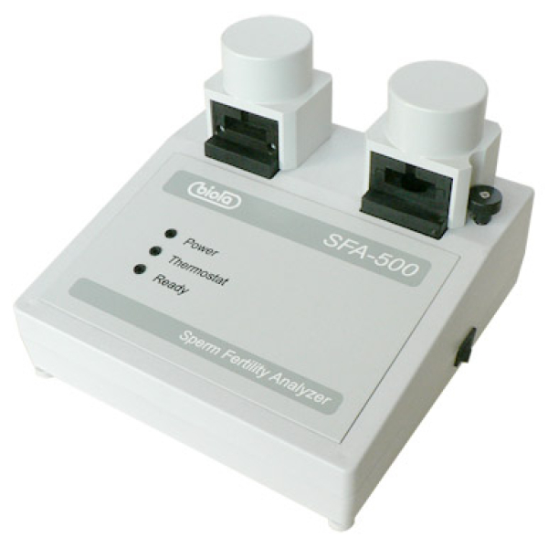 Chiroyli ayol oyoqlari va qin