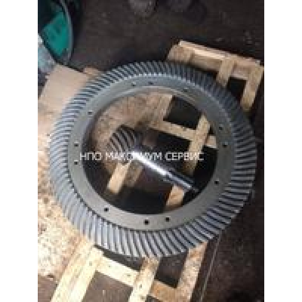 Rus qizlari yechinayotgan erotik shaxsiy fotosuratlar