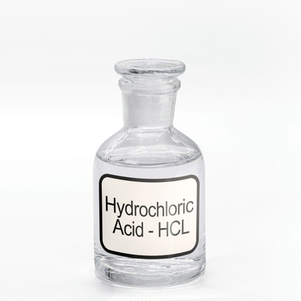 Porno video mushuk ustida otirgan