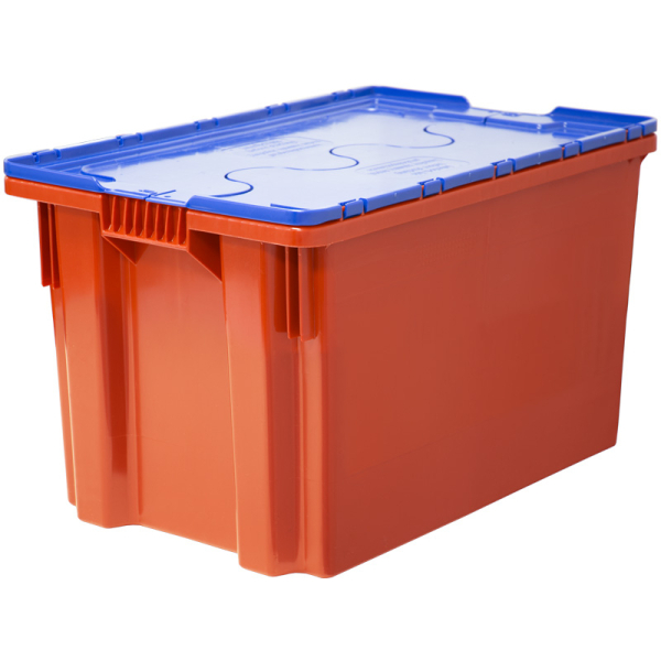 Tugilgan ayol bilan jinsiy aloqa: farq