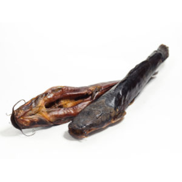 Busty qoramagiz cums toshakda bir odam bilan