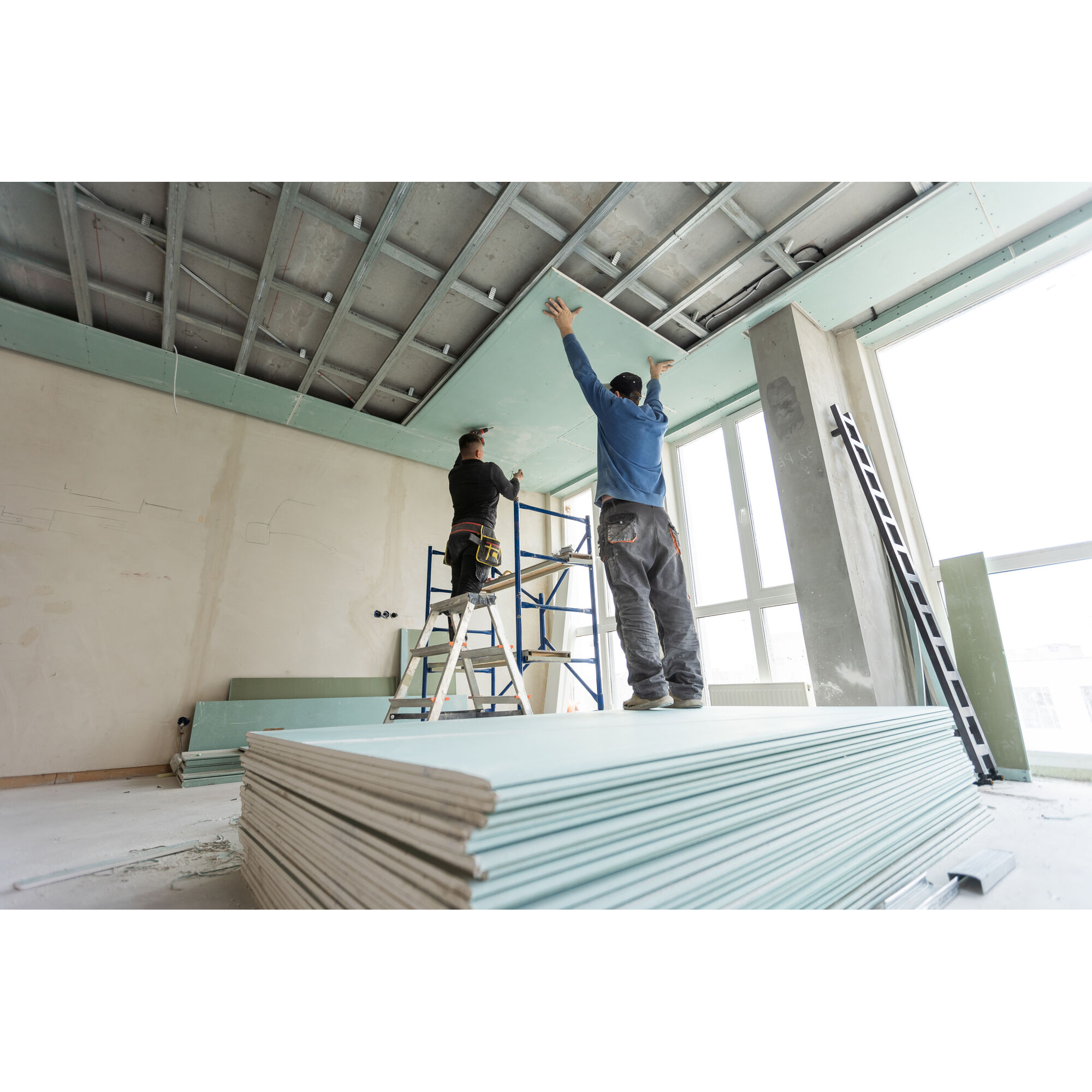 Pastdan tort oyoq ustidagi mushuk